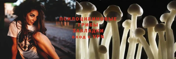 эйфоретик Беломорск