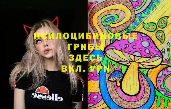 эйфоретик Беломорск