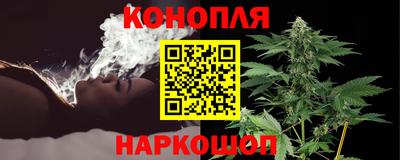 шишки Кинель
