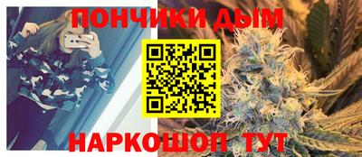 индика Кимры