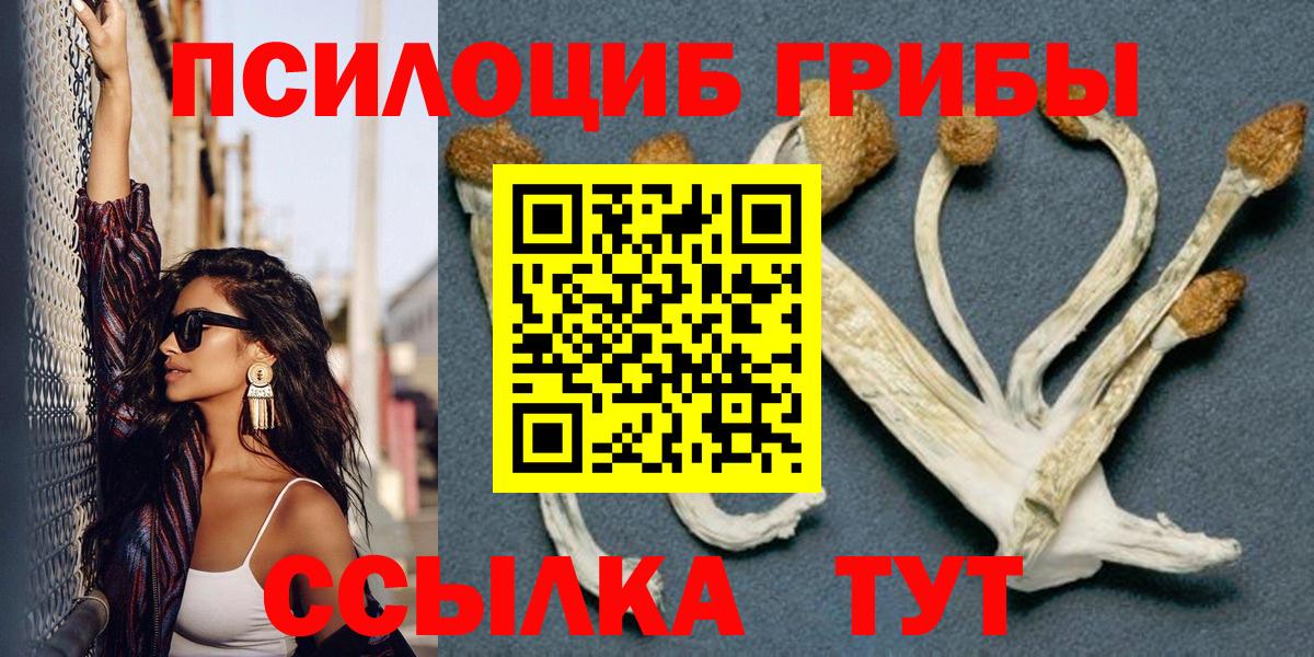 Галлюциногенные грибы Psilocybe Луховицы