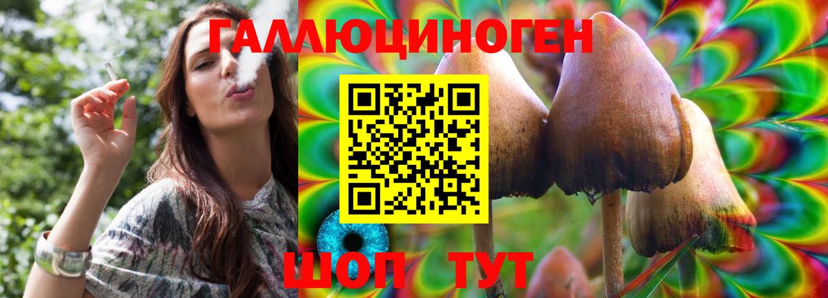 Псилоцибиновые грибы MAGIC MUSHROOMS  Вход с VPN  Луховицы 