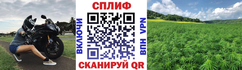 Марихуана Bruce Banner  магазин    Луховицы 
